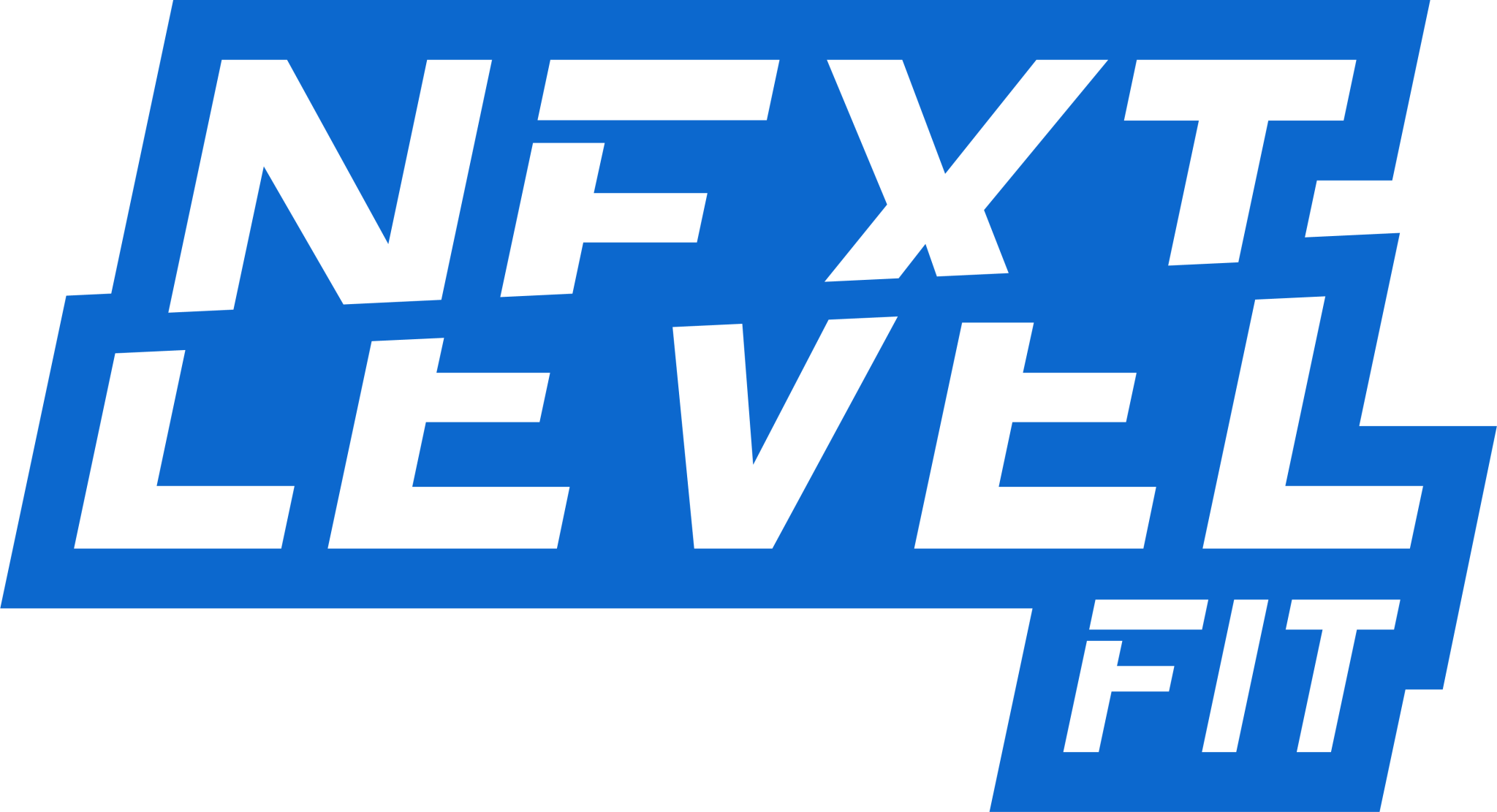 NextLevelFit Logo